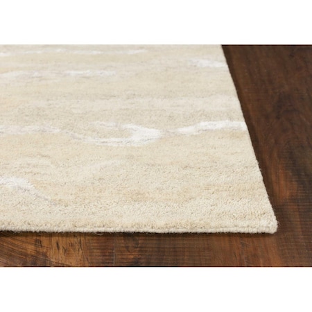 Palacedesigns 39 x 63 in. Ivory Wool or Viscose Rug PA3664530